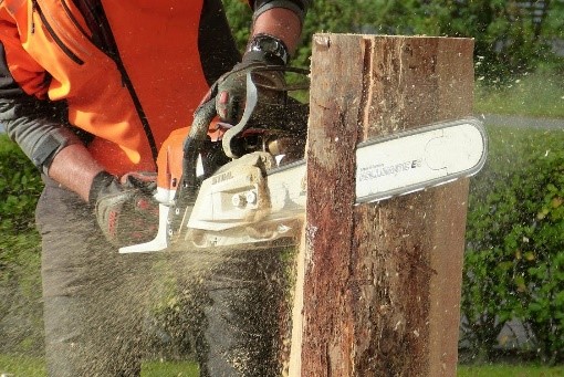 Worker cutting a tree trunk