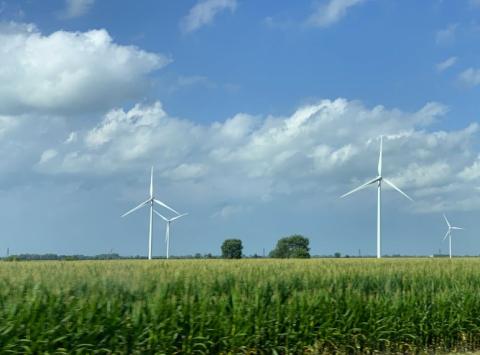 wind turbine in field